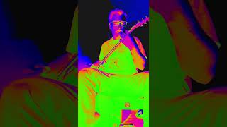 Mabbit riffs #guitarriffs #guitar