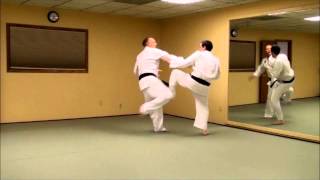 Reverse Punch Counter to Ribs