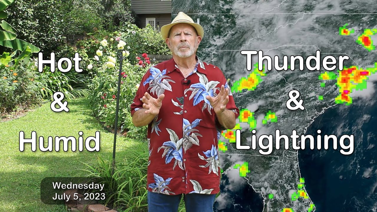 Hot & Humid with More Storms ... Weather for July 5, 2023 - YouTube