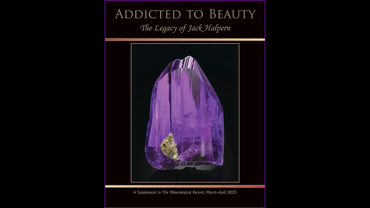 Quick Flip of our Jack Halpern Supplement!