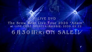 The Brow Beat 「The Brow Beat Live Tour 2020 “Adam” at LINE CUBE SHIBUYA(渋谷公会堂) 2020.02.22」DVD発売告知映像
