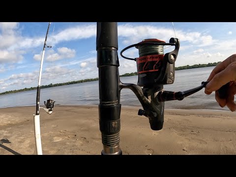 Fishing From The Bar Catfish, Flathead, Skipjack, White Bass 