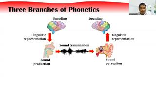 Introducing phonetics