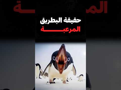 فضائح البطريق اللي خلت العلماء يخبوا الحقيقة 100 سنة