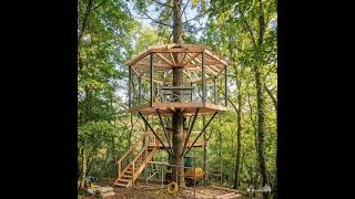 How to construct a Treehouse #CivilEngineering #Carpentry #SustainableBuilding