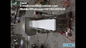 Metal detector with swing arm reject system