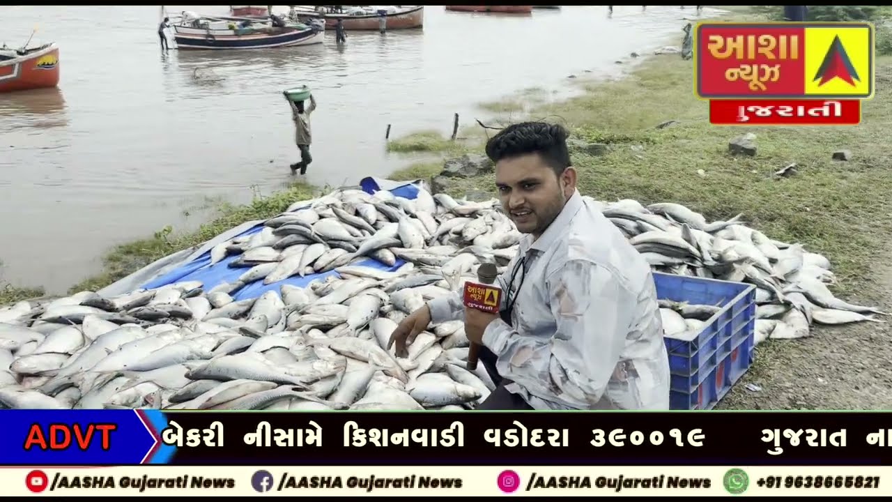 Bharuch ગુજરાતના ભાદભૂત દરિયાકાંઠે  જ્યાં દરિયા સાથે જીવન જીવે છે અનેક માછીમાર પરિવારો #hilshafish
