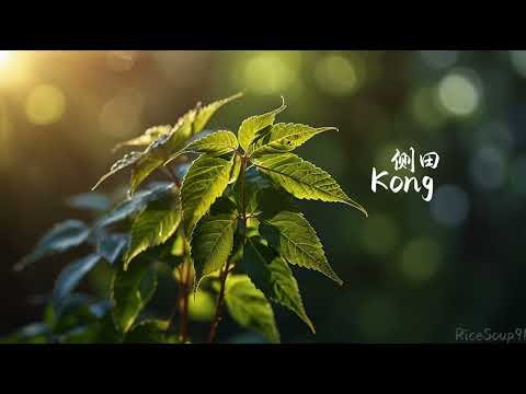 侧田 - Kong