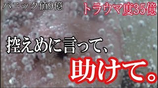 助けて。パニック値8億、トラウマ度35億。