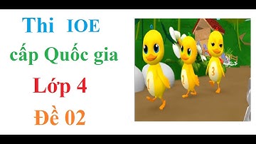 IOE | Thi IOE cấp Quốc gia lớp 4 Học cùng Vịt con