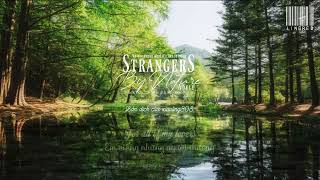 Lyrics - Vietsub || Adele - Strangers By Nature