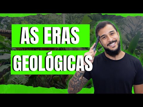 Vídeo: A samambaia de Java pode crescer emersa?