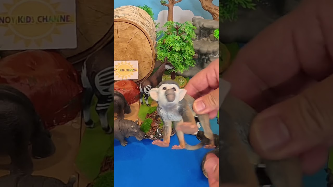 Squirrel Monkey Toy Time! Fruit Eaters, Leaf Munchers & Tree Climbers 🐒