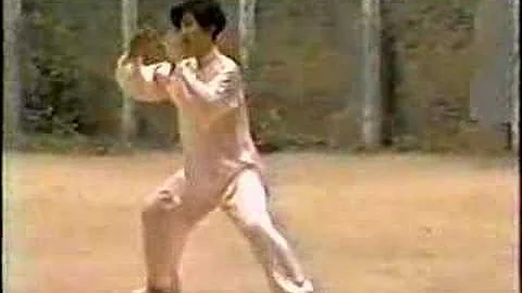 Chen Xiaojia Taijiquan  Yi-lu w/Chen PeiJu