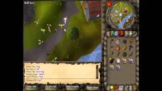 2006Scape: Launch