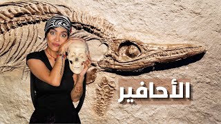 المستحاثات وتأريخها | Fossils and dating methods