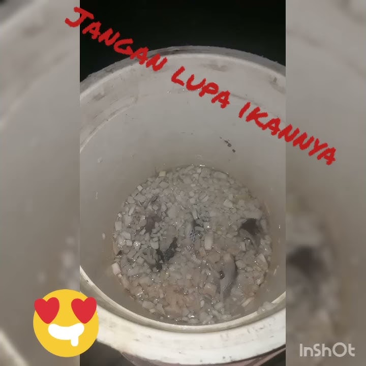 Proses pembuatan lema (makanan khas suku Rejang)