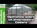 Opiniones sobre un invernadero casero