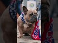 The Sporting Club 🤝 Crystal Palace FC