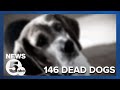 &#39;No dogs were found alive&#39;: 146 dogs found dead in Mantua home