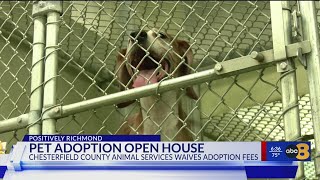33 animals adopted at Chesterfield Animal Shelter open house
