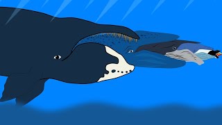 Fish Eat Fish Size Comparison Ending With Bohead Whale