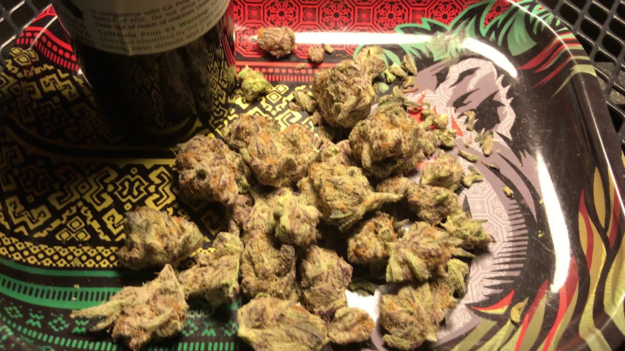 Blueberry kush weed strain