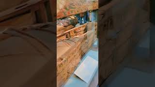 Egypt Gallery In British Museum London #Egyptian #Mummy ⚰️ #MummyinBox