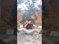Mầy coi chừng tao ak #funny #comedy #shorts #phicolv88 #giaitri #haihuoc