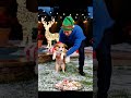 Baby Corgi RESCUED From Christmas Swimming Pool! #Shorts #Rescue
