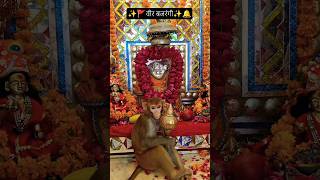 #ayodhyaram #motivation#hanuman #hanumanji #ram #explore#new#study #studymotivation #youtubeshorts