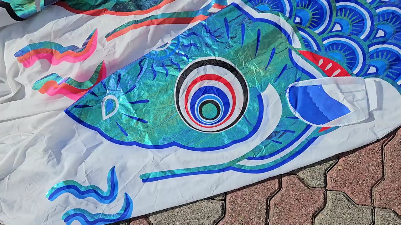 見る角度で色が変わる？フジサワ 鯉のぼり 銀河 - YouTube