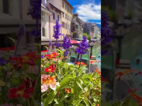 Les Petits Moments à Anncey France Voyage 