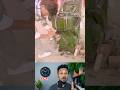 হ্যান্ডেল ছাড়াই স্টার্ট করে দিল শ্যালো ইঞ্জিন! 🔥😱
