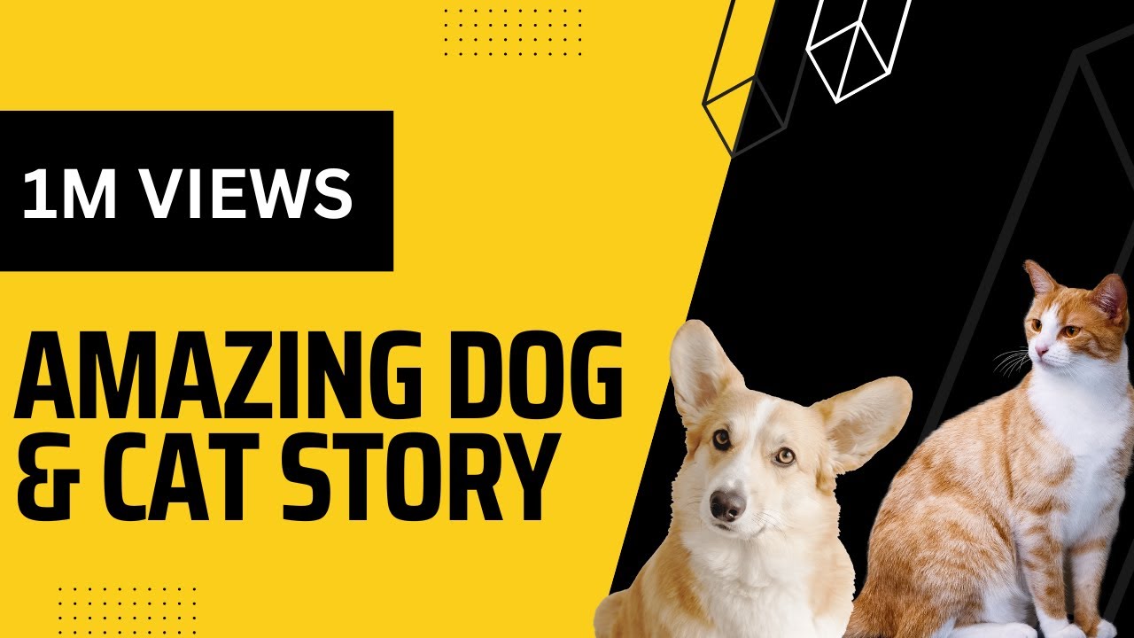 Amazing Dog And Cat Friendship Moral Story Kuta Aur Bhili Ki Khani Amazing Dog And Cat Friendship Moral Story Kuta Aur Bhili Ki Khani