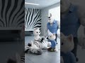 😼💥Kitten Helps a Zebra in Trouble🦓🔥#cat #catfunny #catvideos #cartooncat #animation