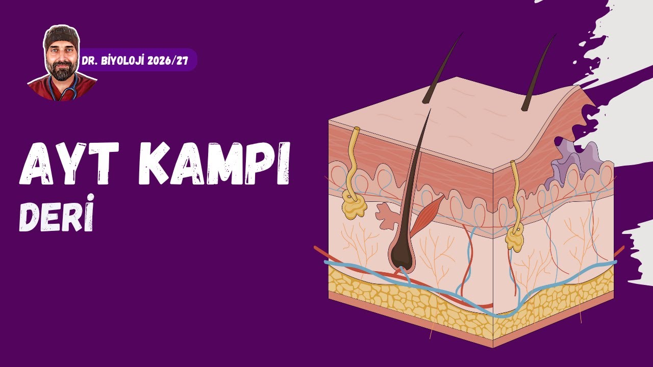 Duyu Organları Deri | Dr. Biyoloji | AYT Dönem 2026 - 2027