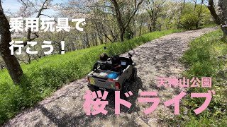 乗用玩具で行こう！延広八幡宮 天神山公園編 桜ドライブ Power Wheels Drive in FUKUYAMA