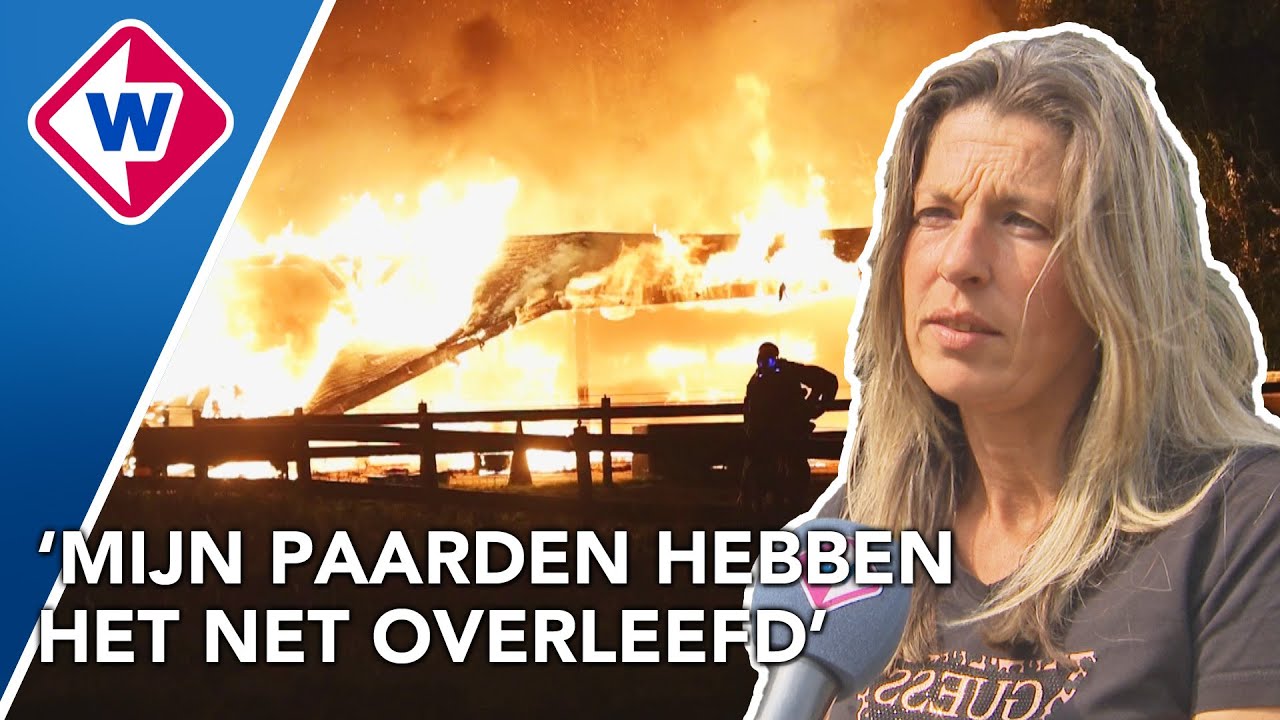 Paarden vluchten voor enorme brand in stal