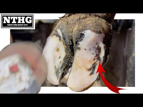 It’s ALL MUSHY INSIDE this Hole
