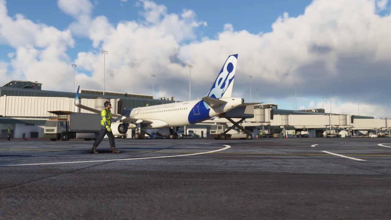 Flight Simulator 2020 - Life At The Airports | REACTION and DG COMMENTARY