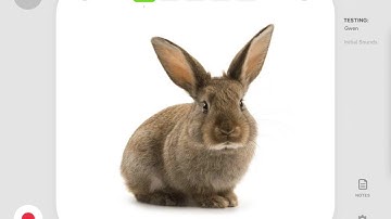 Articulation Test Center - Auto Marking Phonological Processes