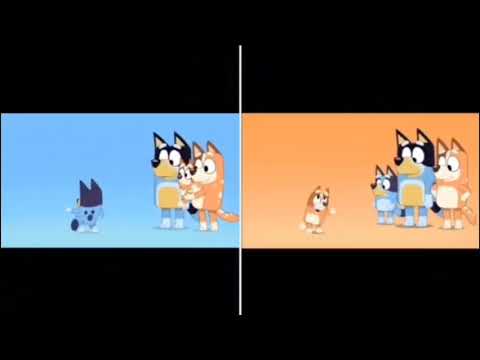 Bluey Intro Vs Bingo Intro 