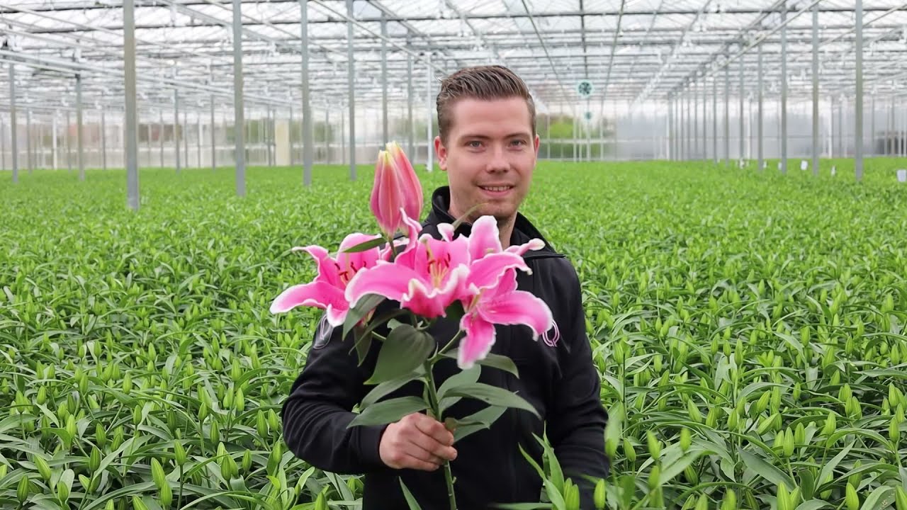 Dutch Flower Awards 2021 - Qualily