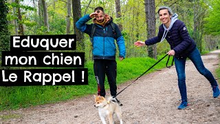 Eduquer mon chien  Le Rappel !