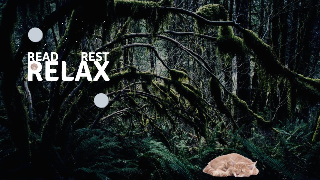 ANIMALS OF THE RAINFOREST Soothing Raindrops, Tranquil Calm Forest Essence for Relaxation & Sleep