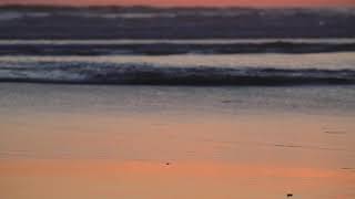 Ocean Beach Golden Sunset Reflection