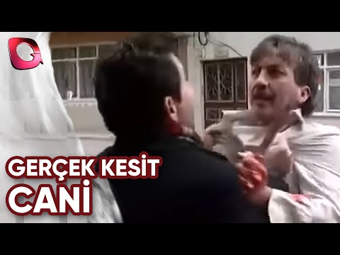 Gerçek Kesit | Cani