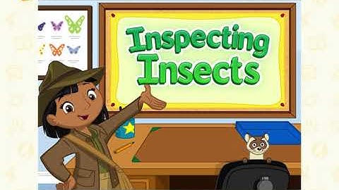 ABC Muis Leerpad Niveau 7 Les 12 Insecten