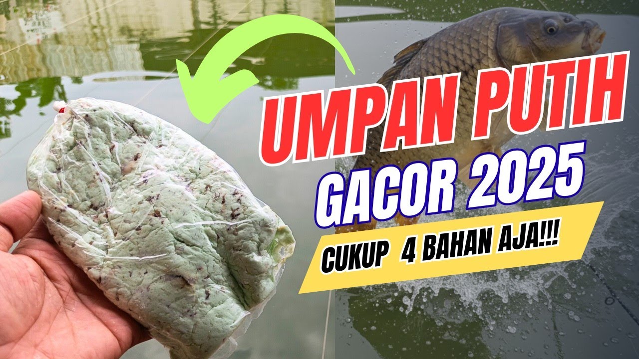 Cukup 4 Bahan saja!! UMPAN PUTIH PALING GACOR TAHUN 2025